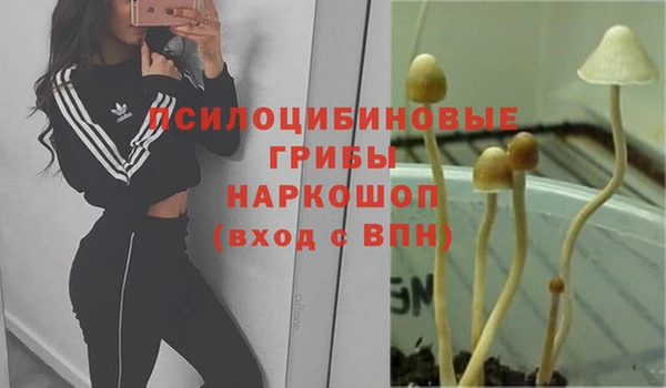 герыч Волоколамск