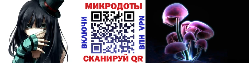 Псилоцибиновые грибы Psilocybe  Купить где  Нытва 